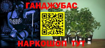 a pvp Будённовск