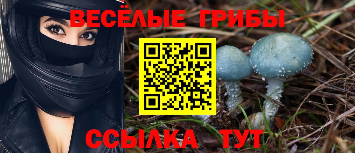 Псилоцибиновые грибы MAGIC MUSHROOMS  Вход с VPN  Шуя  Псилоцибиновые грибы мухоморы 